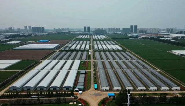 财税合规优化方案在不同场景中的应用分析